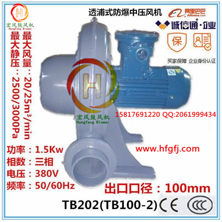 防爆透浦式中压鼓风